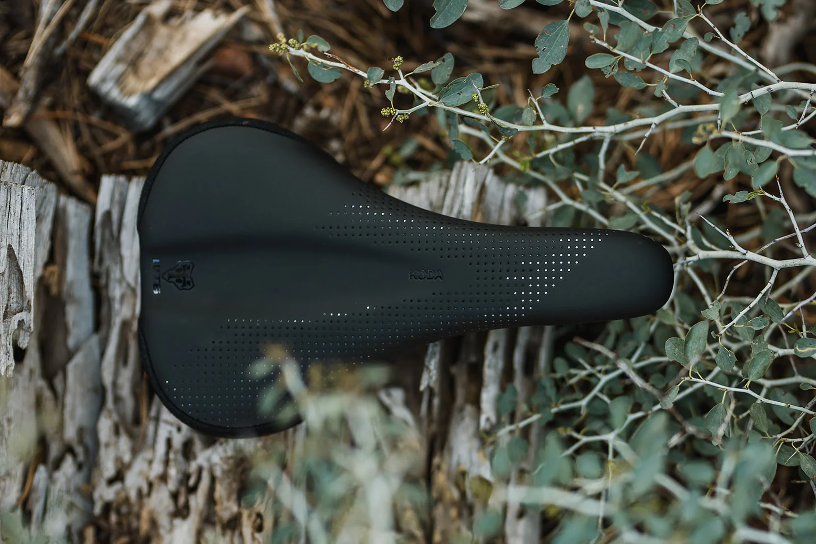 Forty Years of Trail Innovation